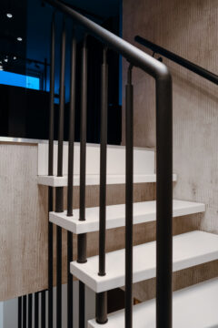 Лестница на больцах Днепр