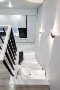 Гусиный шаг