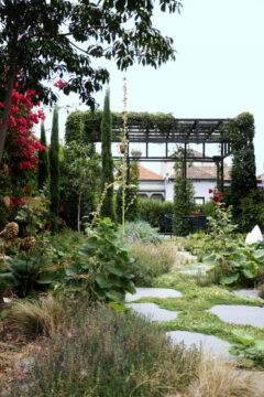 Каркасы опоры для растений Днепр