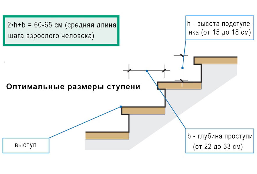 ступени лестницы ступени лестницы